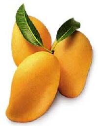 Kesar Mango